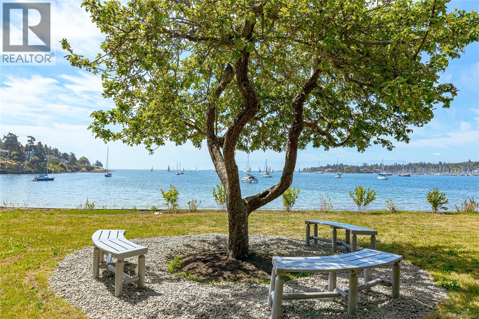 3905B Cadboro Bay Rd - 5