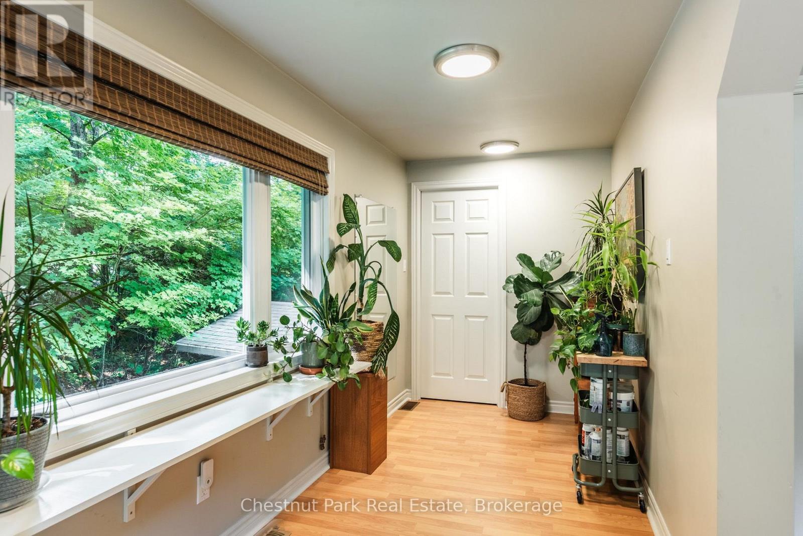 253 CHAPMAN DRIVE - 28