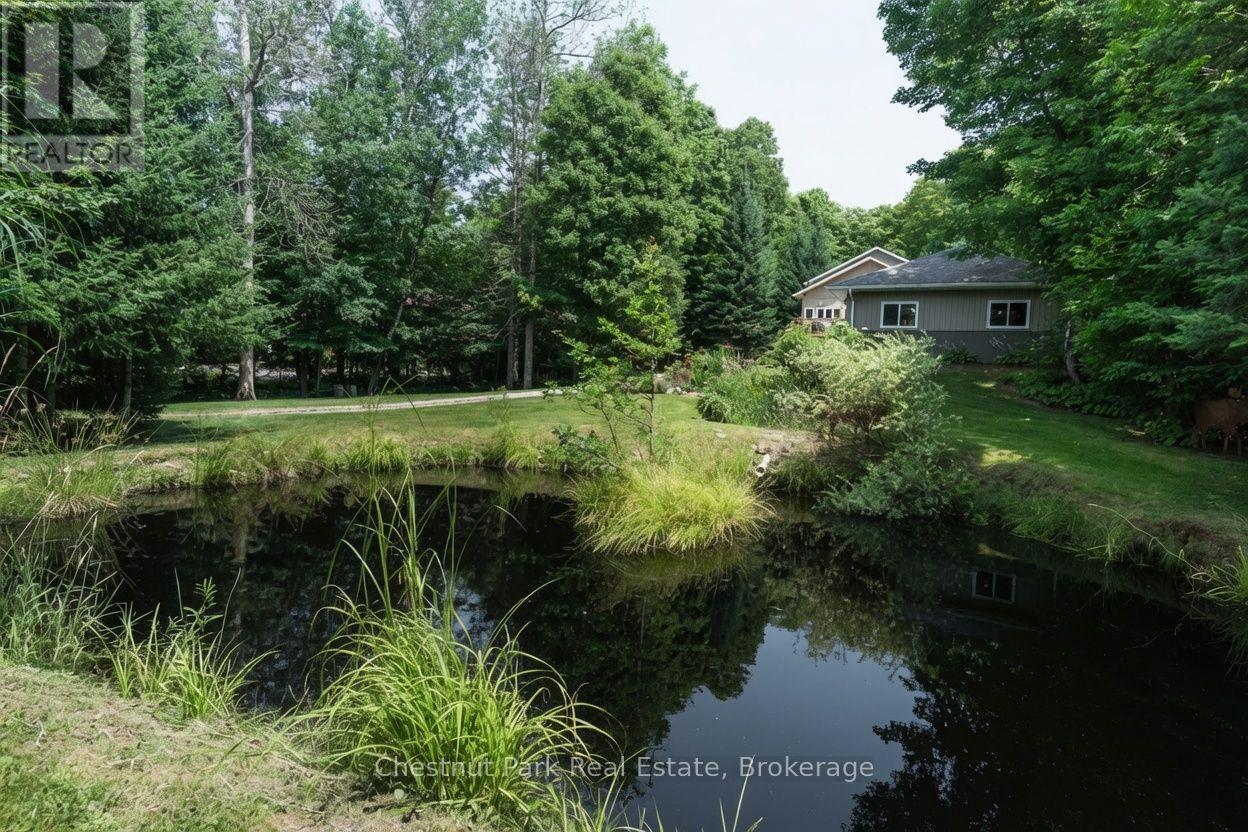253 CHAPMAN DRIVE - 4