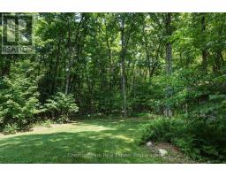 253 Chapman Drive, Burk S Falls, ON P0A1C0 Photo 40