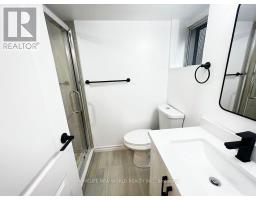 Lower - 3 Roblocke Avenue, Toronto, ON M6G3R6 Photo 7