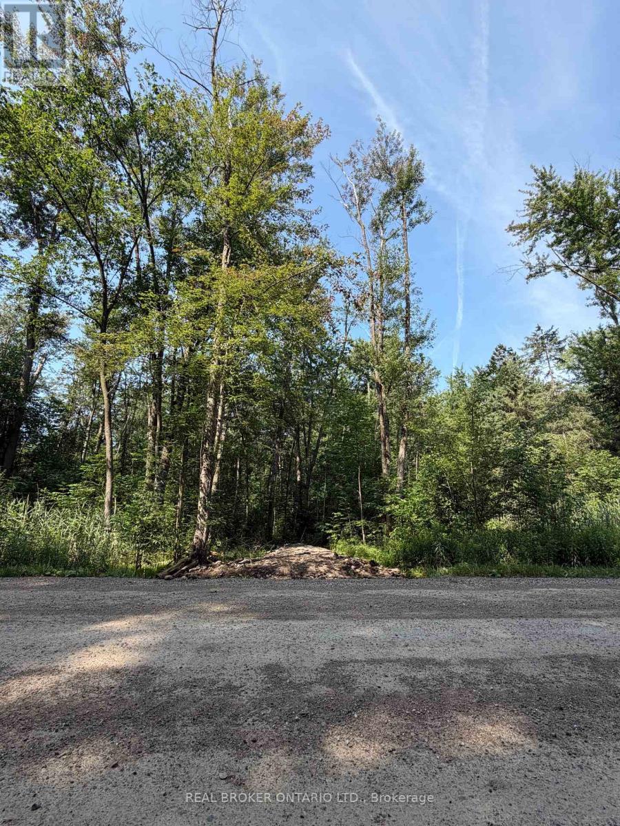 Wooded Area