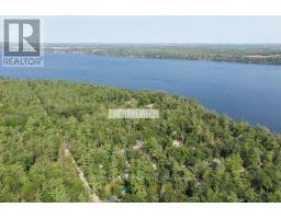 79 Irene Avenue, Kawartha Lakes, ON K0M1N0 Photo 6