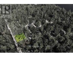 79 Irene Avenue, Kawartha Lakes, ON K0M1N0 Photo 8