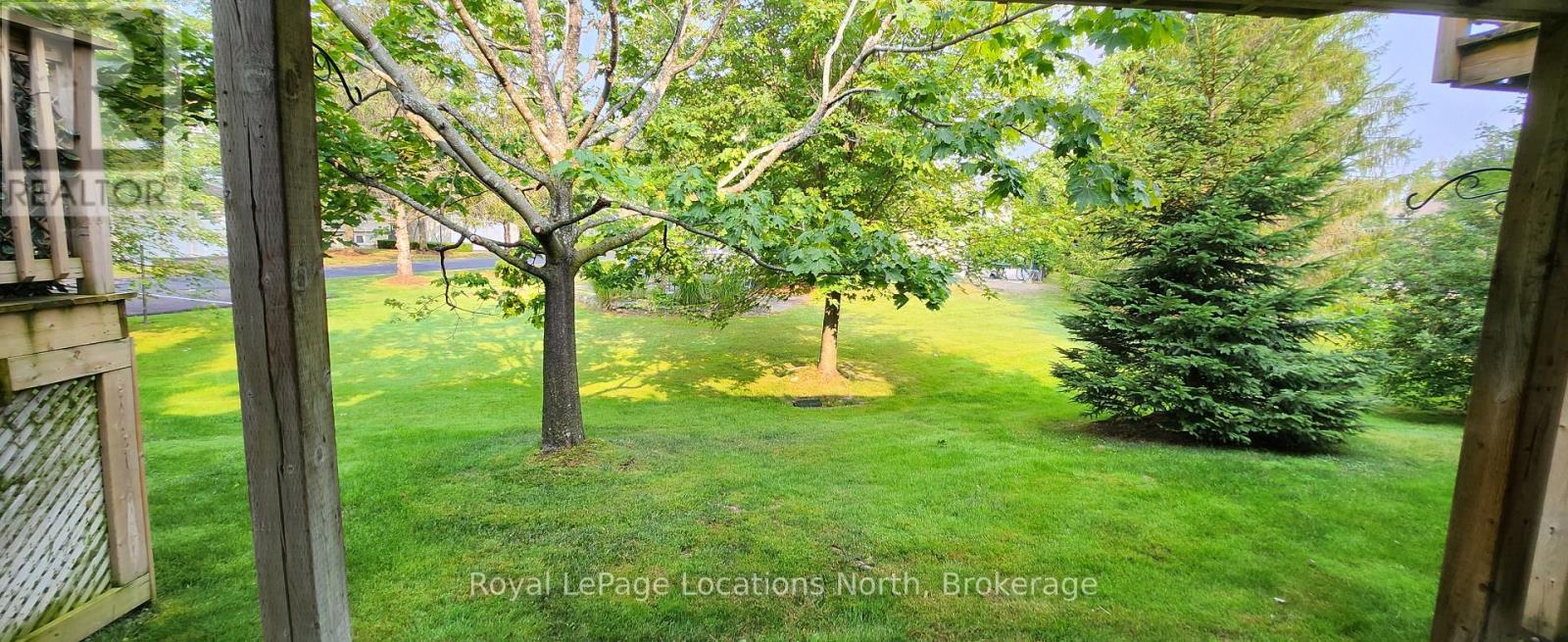 Backyard Privacy