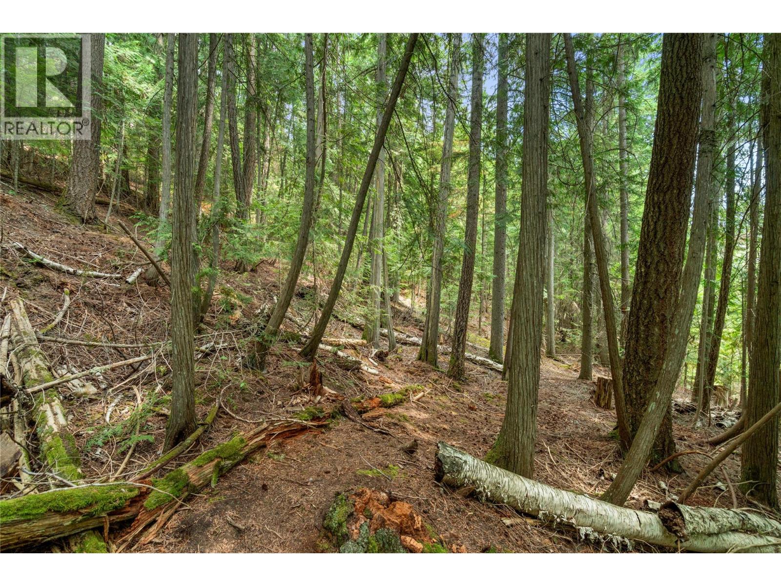 7621 Hudson Road - Image 39