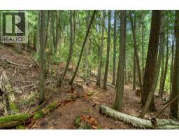 7621 Hudson Road, Anglemont, BC V0E1M8 Photo 39