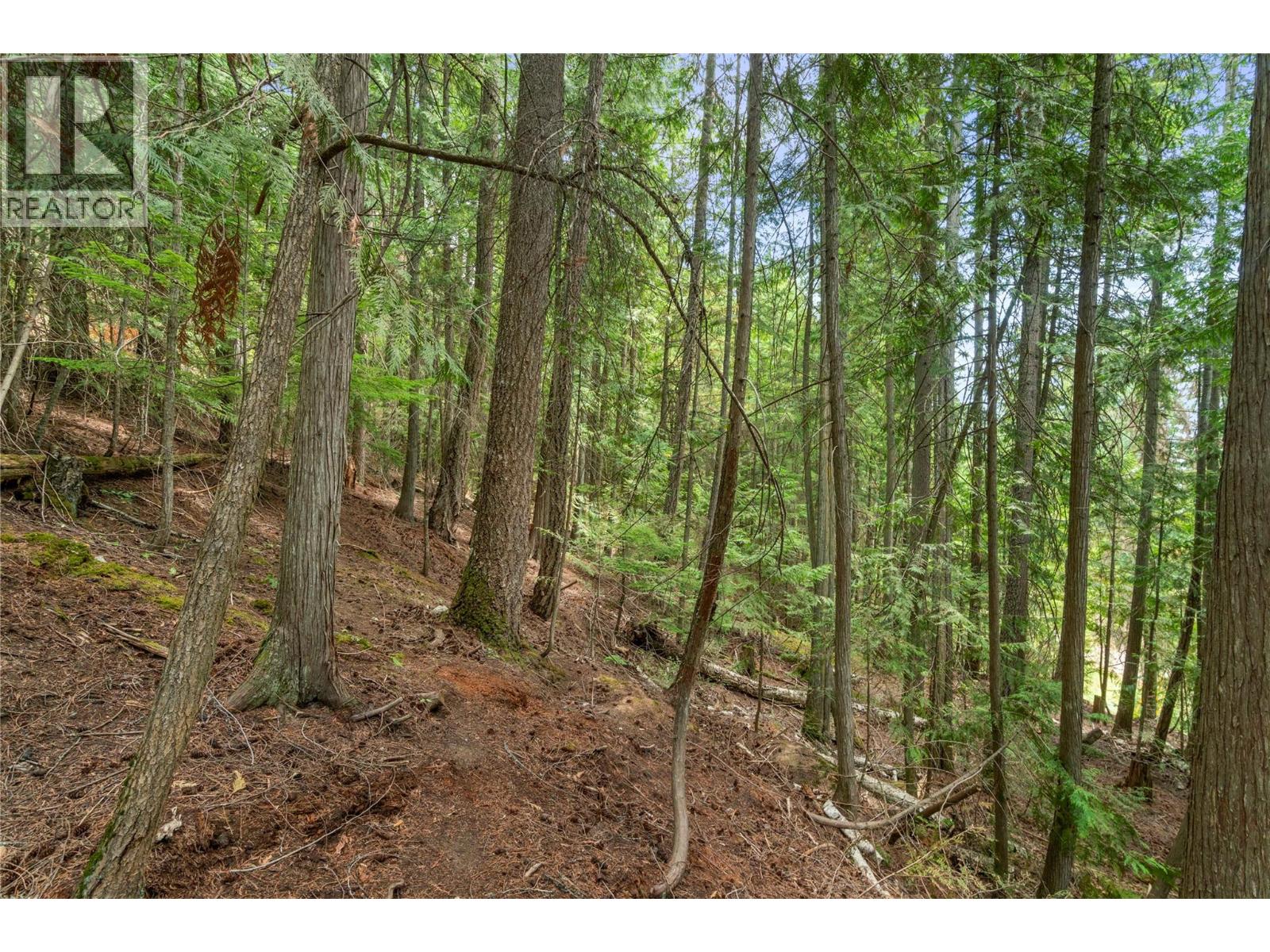 7621 Hudson Road - 36