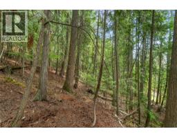 7621 Hudson Road, Anglemont, BC V0E1M8 Photo 36