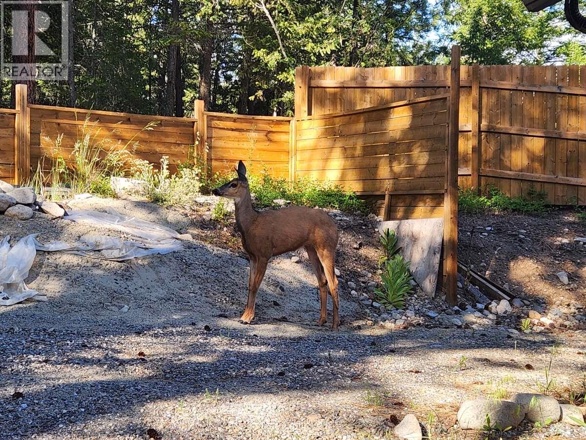 10795 Westshore Road - 50
