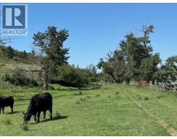 On 320 Street E, Blackie, AB T0L0J0 Photo 18
