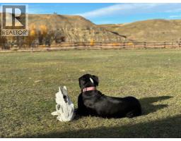 On 320 Street E, Blackie, AB T0L0J0 Photo 28