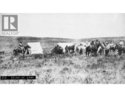 On 320 Street E, Blackie, AB T0L0J0 Photo 25