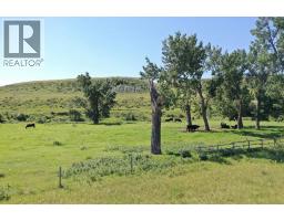 On 320 Street E, Blackie, AB T0L0J0 Photo 42