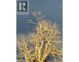 On 320 Street E, Blackie, AB T0L0J0 Photo 26