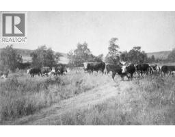 On 320 Street E, Blackie, AB T0L0J0 Photo 24