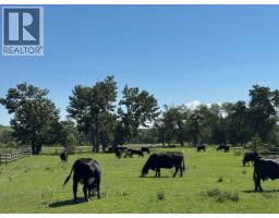 On 320 Street E, Blackie, AB T0L0J0 Photo 19