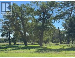 On 320 Street E, Blackie, AB T0L0J0 Photo 22
