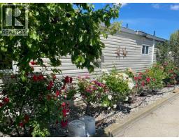 3832 33rd Street, Osoyoos, BC V0H1V6 Photo 10