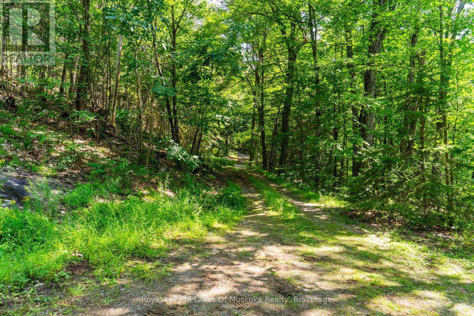 1187 IVY LANE - 43