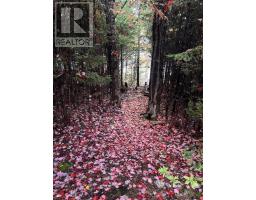 110 Oakridge Road, Mill Road, NS B0J2M0 Photo 35