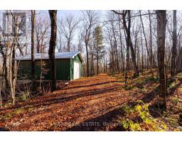 Lot 6 Chemical Road, Chisholm, ON P0A1X0 Photo 29