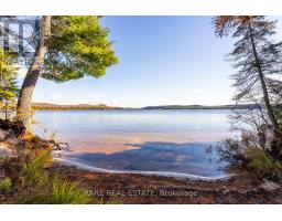 Lot 6 Chemical Road, Chisholm, ON P0A1X0 Photo 22