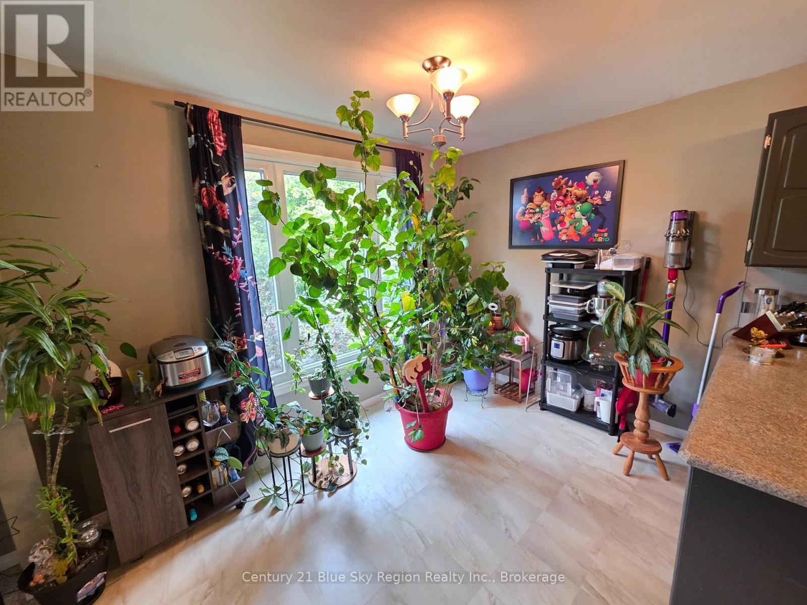798 MCKAY AVENUE - 19