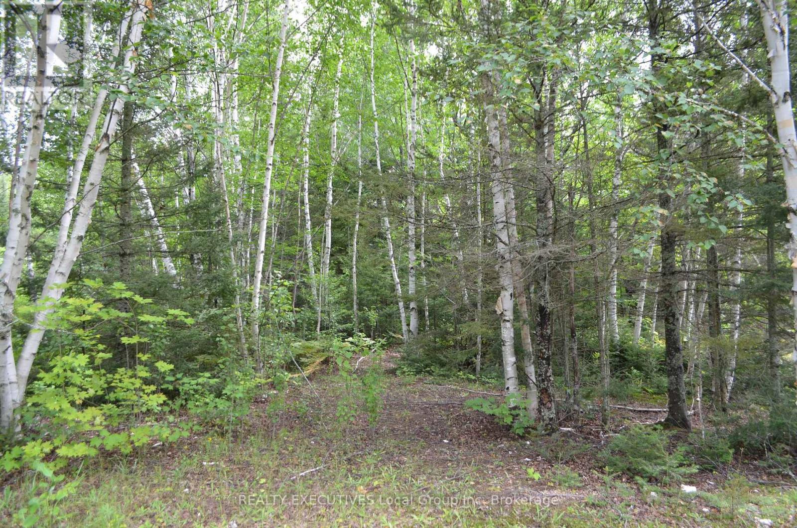 1405 PIONEER ROAD - Image 11