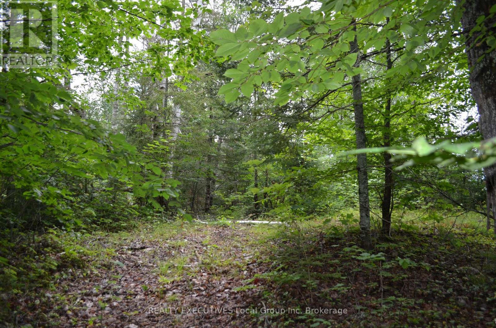 1405 PIONEER ROAD - Image 12