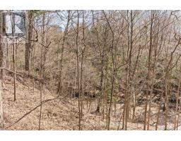 45 Hi Mount Drive, Toronto, ON M2K1X3 Photo 42