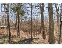 45 Hi Mount Drive, Toronto, ON M2K1X3 Photo 43