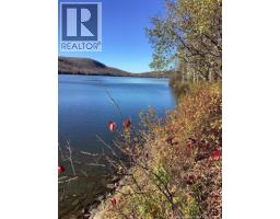 832 Route 215, Lac Unique, NB E7A1G9 Photo 13