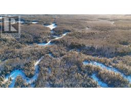 Pt Lt 32 Concession 6, North Kawartha, ON K0L1A0 Photo 6