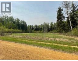 851 Wolf Trail, Sandy Lake, AB T0G2K0 Photo 6