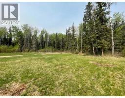 851 Wolf Trail, Sandy Lake, AB T0G2K0 Photo 8