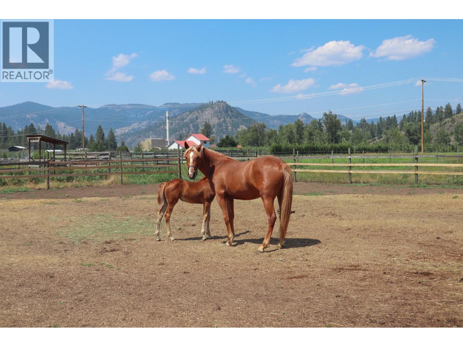 6055 Darcy Road - 11