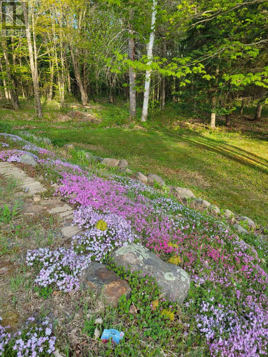 615 SEAGULL LAKE ROAD - 49