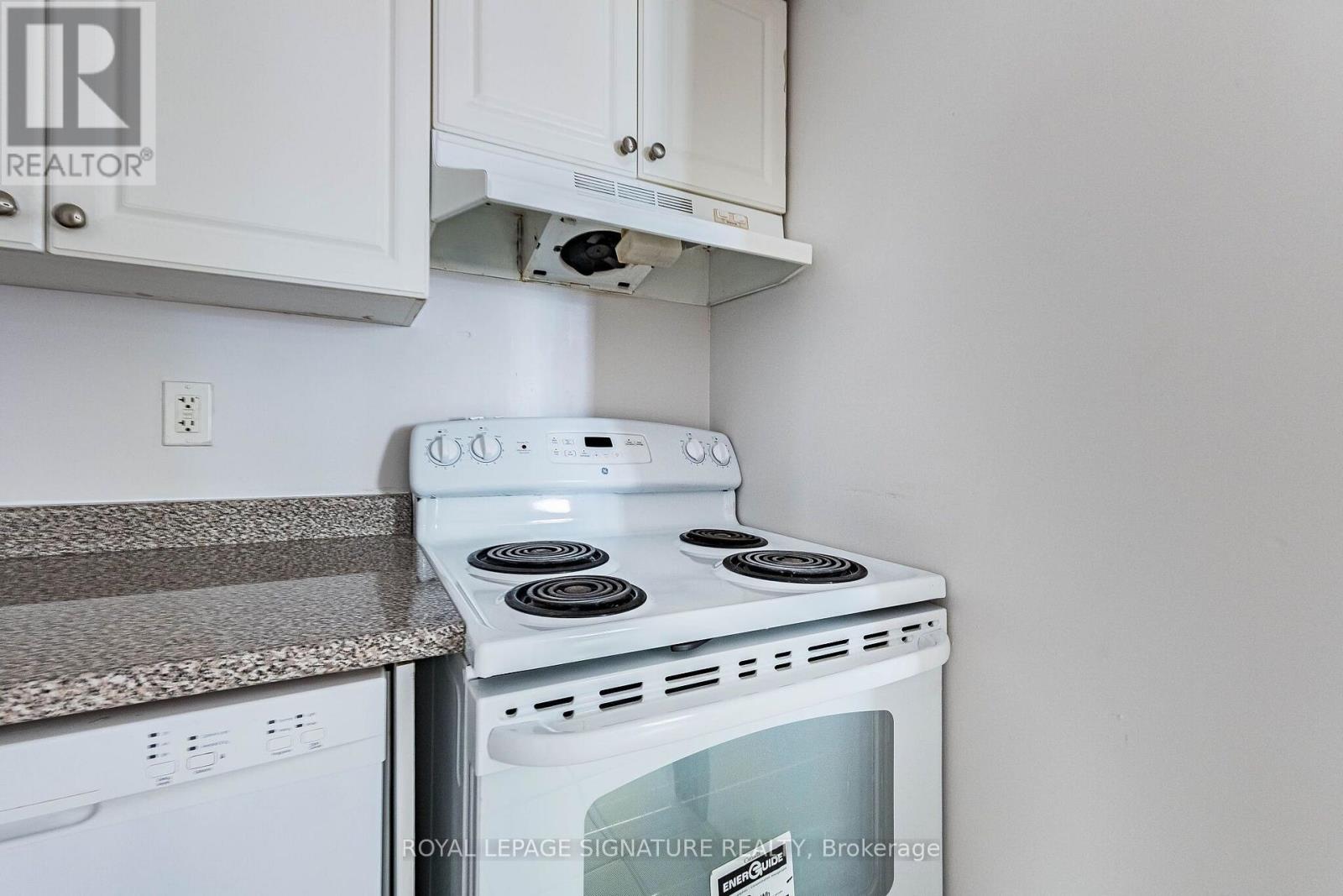 #101 251 LESTER STREET - 13