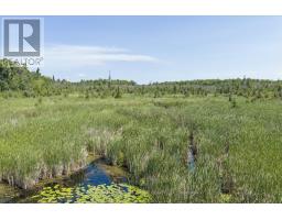 Lot 23 10 Concession, Kawartha Lakes, ON K0L1T0 Photo 13