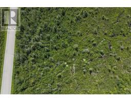 Lot 23 10 Concession, Kawartha Lakes, ON K0L1T0 Photo 14