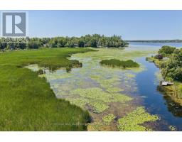 Lot 23 10 Concession, Kawartha Lakes, ON K0L1T0 Photo 6