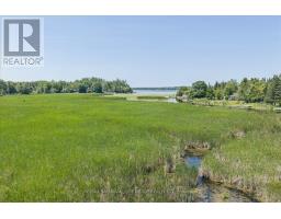 Lot 23 10 Concession, Kawartha Lakes, ON K0L1T0 Photo 7