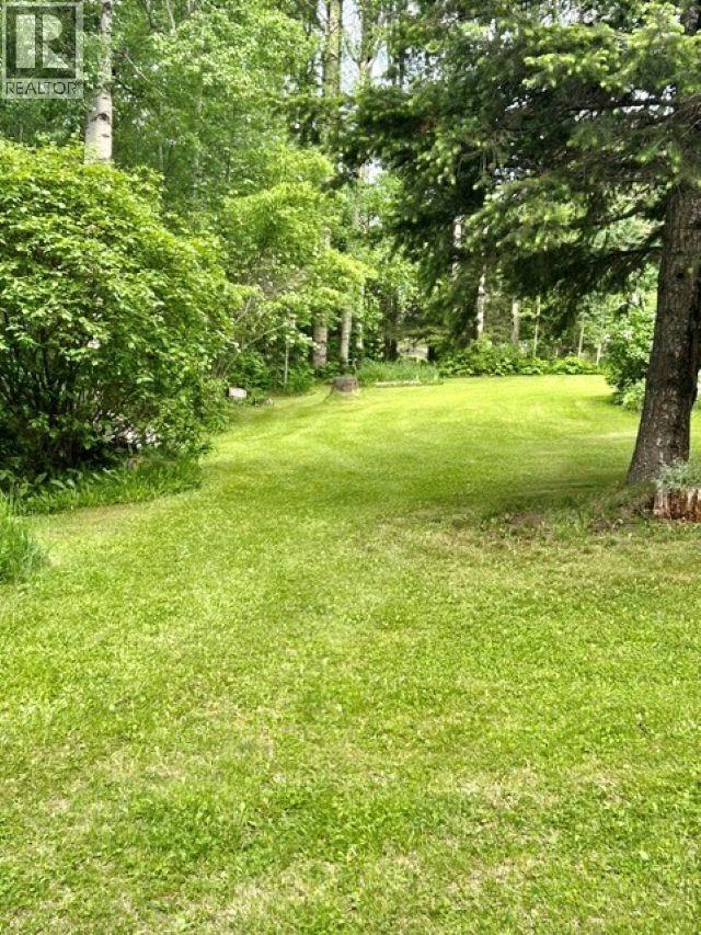 310 MOUNTAIN VIEW ROAD, McBride