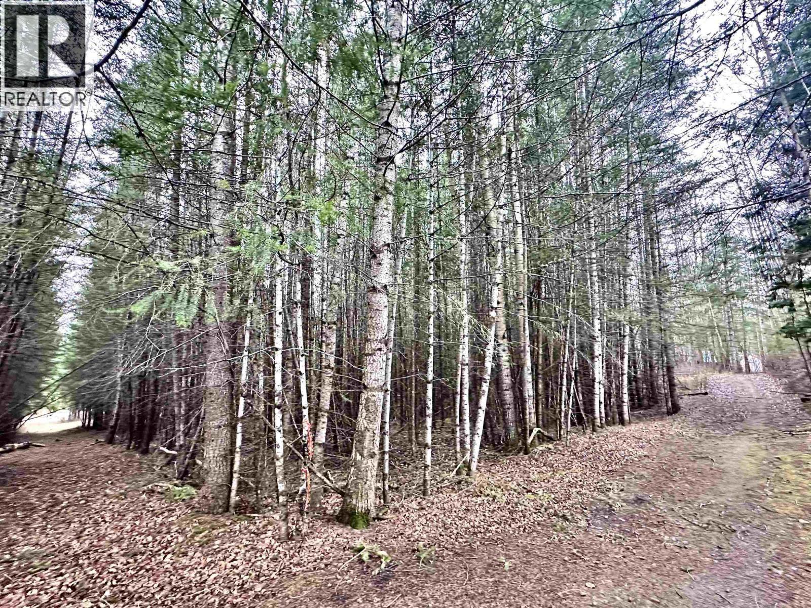 310 MOUNTAIN VIEW ROAD, McBride