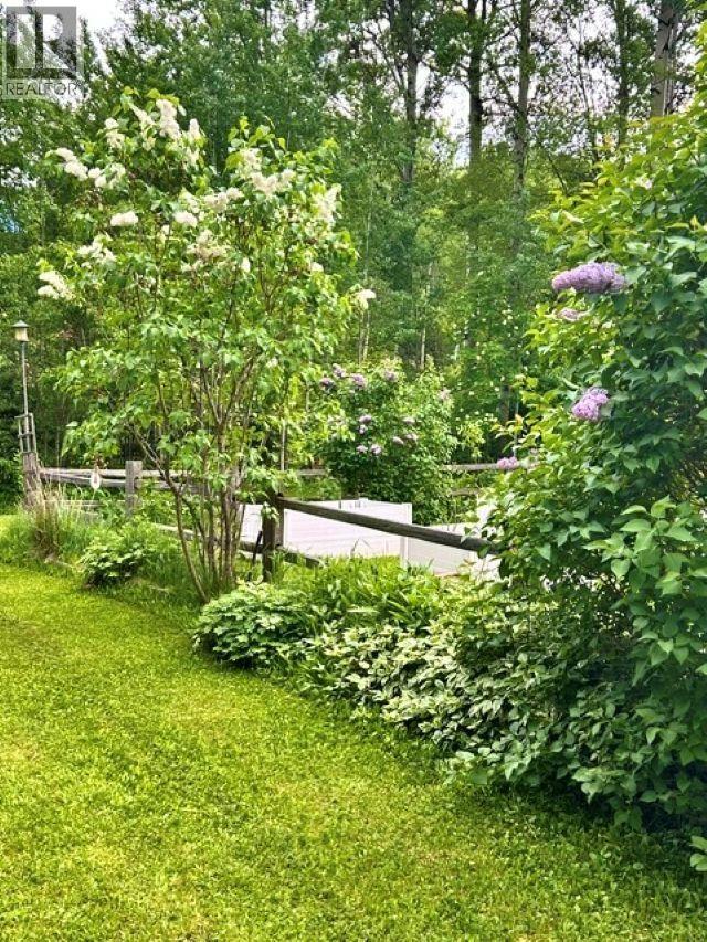 310 MOUNTAIN VIEW ROAD, McBride