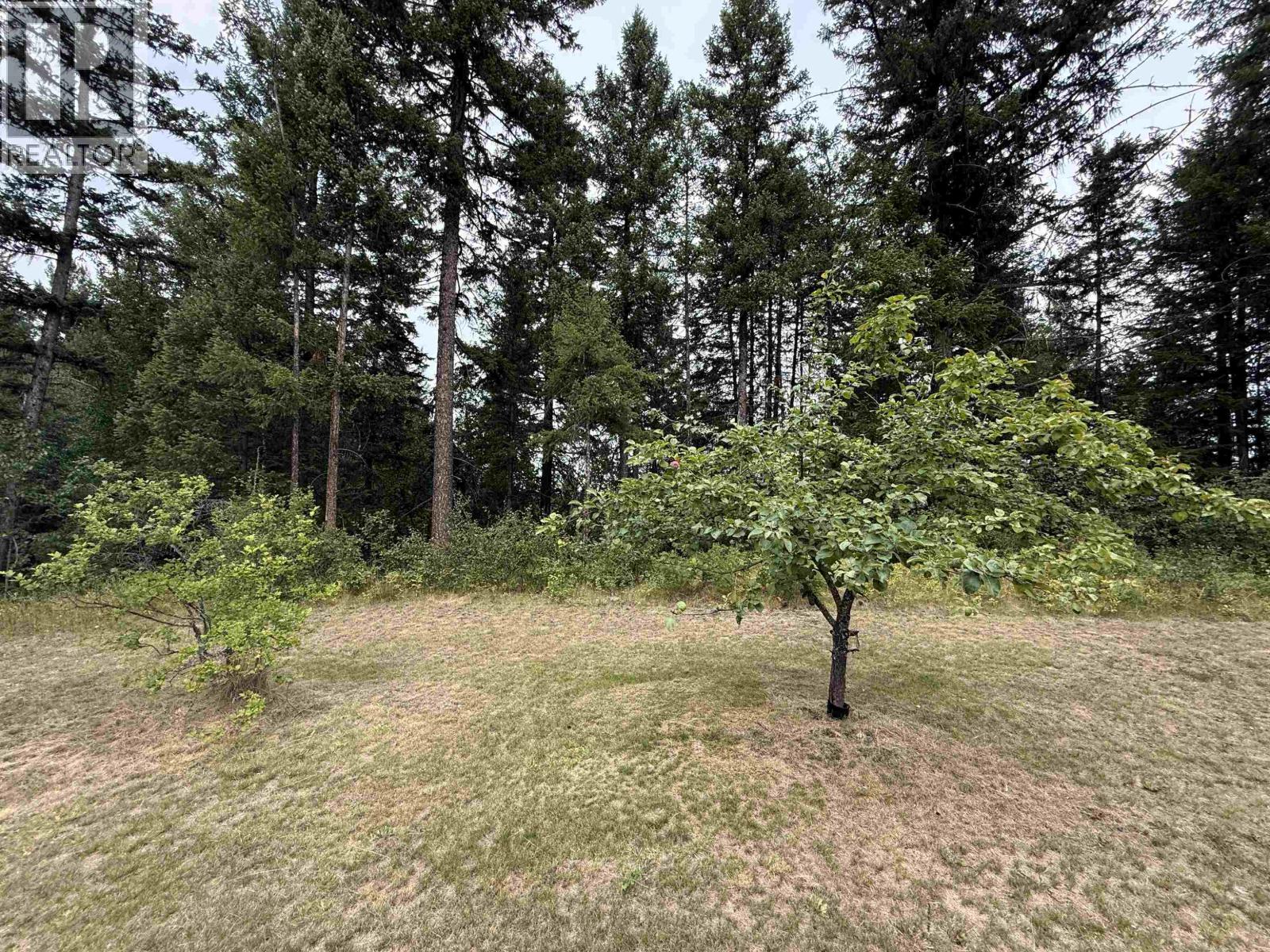 1931 ALMA ROAD - 25
