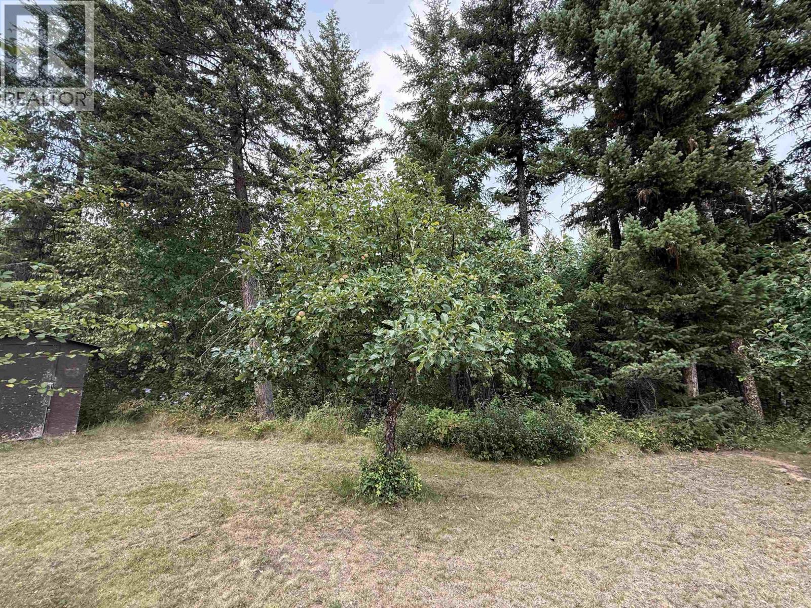 1931 ALMA ROAD - 31