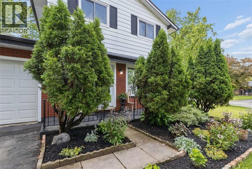 45 ARROWHEAD Crescent - 6