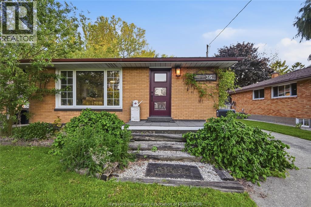 36 WOODLAND AVENUE - 23